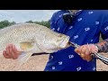 Cá chui vô chà | Hàng khủng anh em ơi | #hiepfishingtv