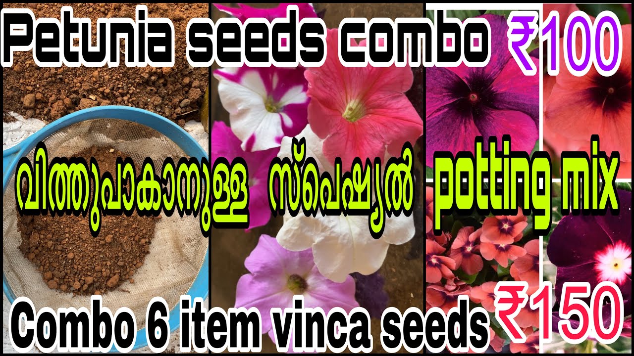 Summer Seeds Combo🔥 | എല്ലാ  വിത്തുകളും  മുളച്ചുകിട്ടാനുള്ള  Special Potting Mix തയ്യാറാക്കാം