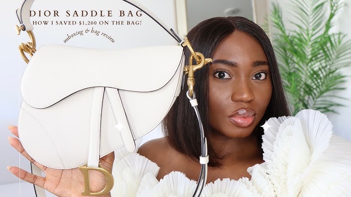 Dior Saddle Bag Unboxing and Review — The Ordinary Wongs