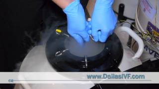 Egg Freezing