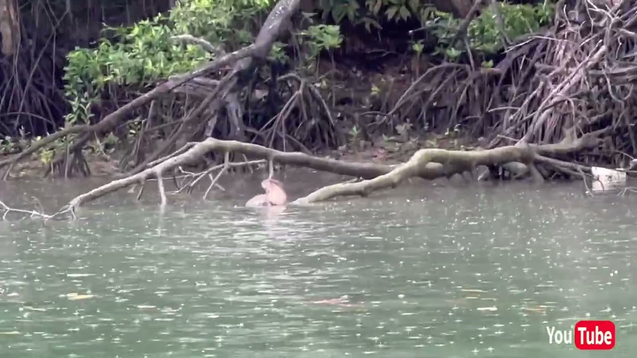 Part 2, Memancing Sambil Di Teman 🐊