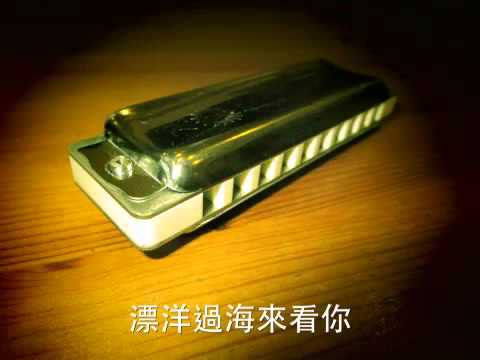 金智娟 漂洋過海來看你 藍調口琴 十孔口琴  SEYDEL 1847 C