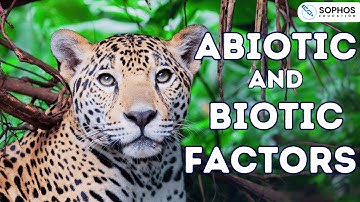Abiotic and Biotic Factors