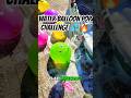 Water Balloons Started YELLING When I Popped Them! 😂💦 Epic Pop Challenge #asmr #satisfying #funny