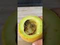 3x 1000°C Red Hot Balls vs Yellow Melon! 🍈🔥 Insane Meltdown! #cubemelt #shorts