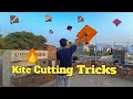 Kite cutting tricks  kite flying  desi patangbazzi 