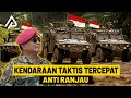 Ditakuti negara tetangga jika indonesia kembangkan kendaraan taktis militer buatan pindad