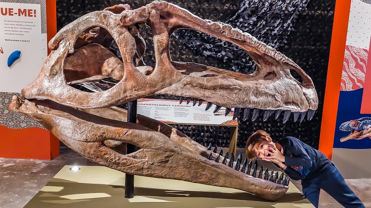 Expodinos': 7 motivos para visitar a mostra com réplicas de dinossauros em  tamanho natural e fósseis