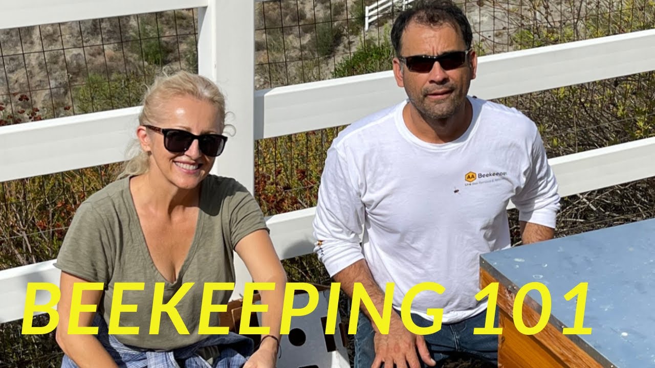 BECOMING A BEEKEEPER - entire episode - YouTube