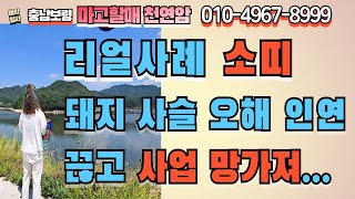 [보령점집] 리얼사례 소띠 신도 돼지 사슬 오해로 인연 끊고 지내다 사업 망가져
