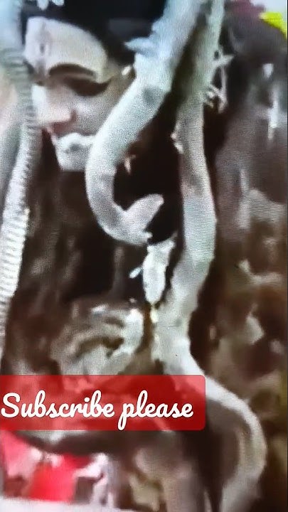 Shiv ji jhaki with real Snake🐍#viralvideo - YouTube