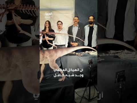 علماء أرجنتينيون يكتشفون بقايا ديناصور يعود لعصر قديم