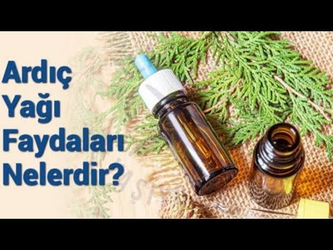 Video: Ardıç Bitkisel Kullanımları Nelerdir - Bitki Bitkileri Olarak Ardıç Yetiştirme