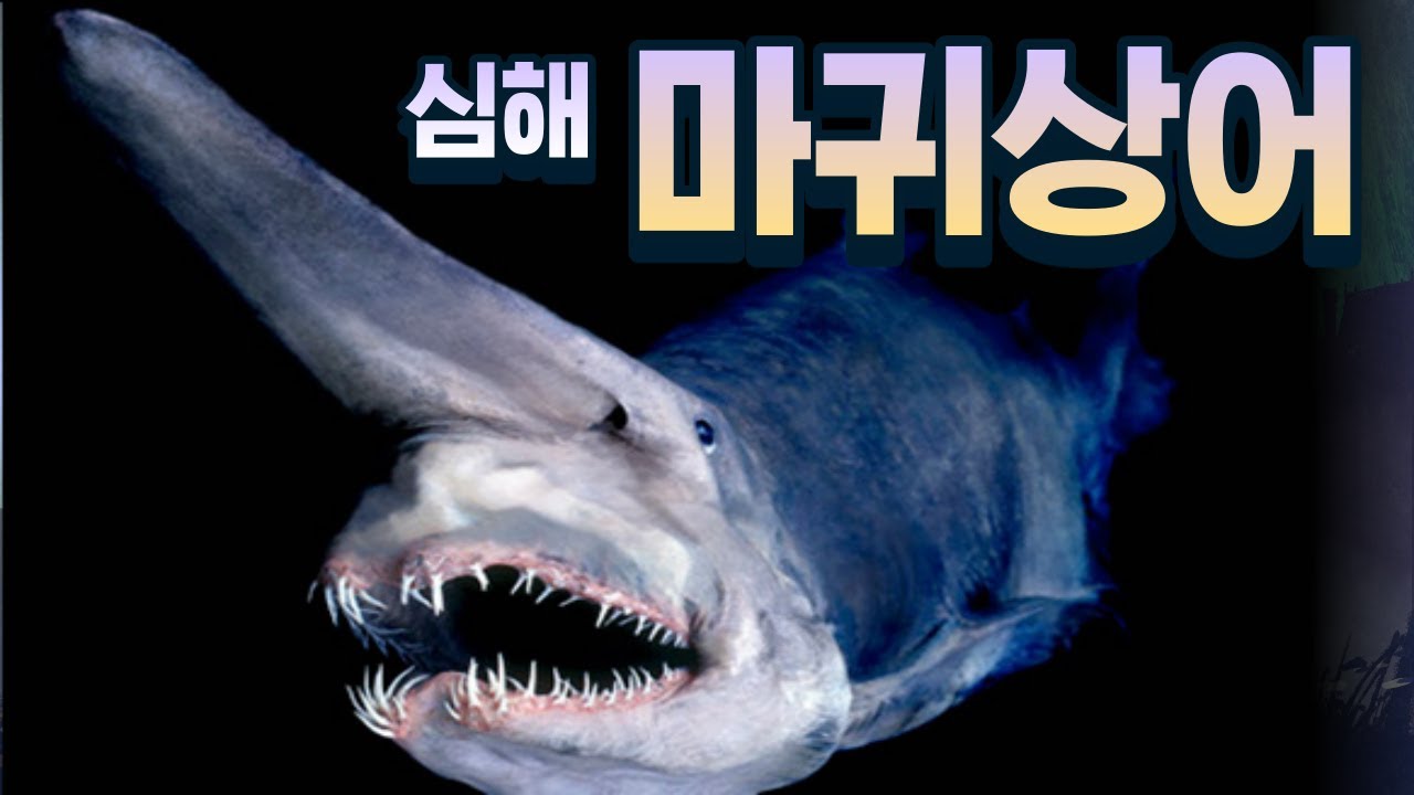 344 VR Disability Experience Education VR 단락 2 이미지 3