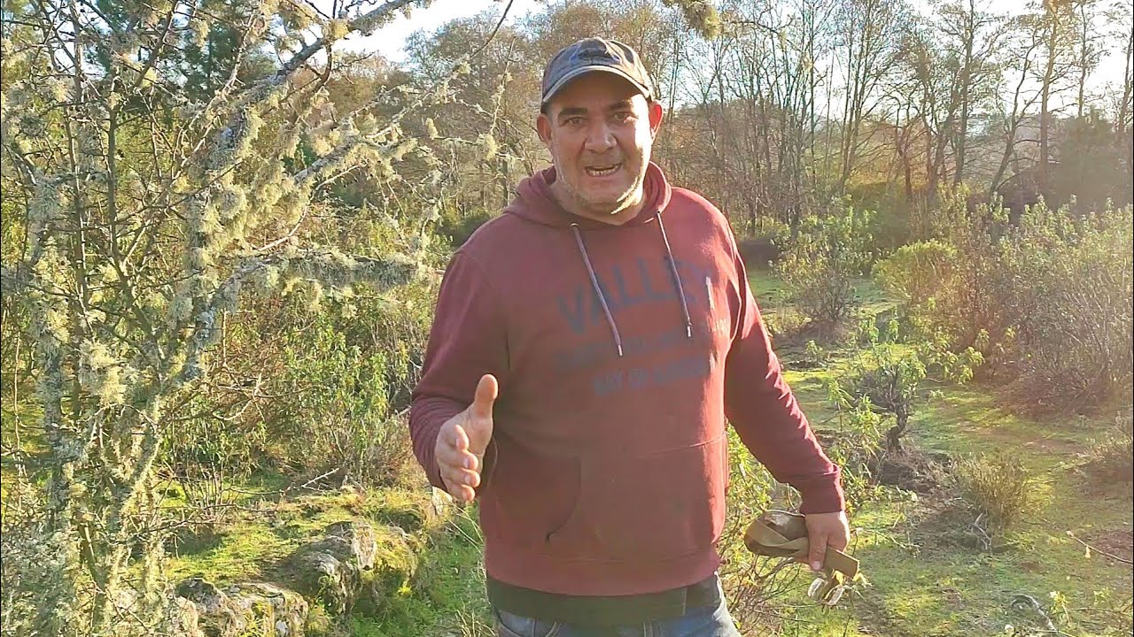 Voy a por una oveja coja y de paso os cuento el sermón del Padre Damián