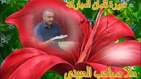 سورة لقمان المباركه====ملا صاحب العبيدى ===هديتى الى ارواح امواتكم جميعا