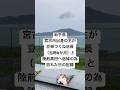 豆柴つくね店長と、3.11の追悼のため陸前高田を訪れた日の記録。静かな海の前で、あの日を想います。#shorts#NeverForget311#Rikuzentakata#Mameshiba#dog