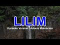Lilim - Karaoke (Minus One) - Adonis Melencion