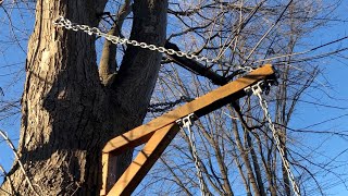 Installing a tree swing