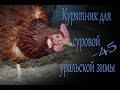 Курятник для уральской зимы // Куры несушки зимой // Мое хозяйство