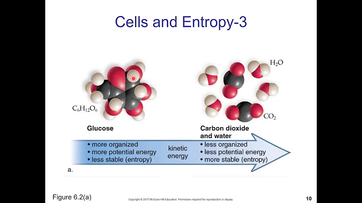 Energy & Enzymes for Non-Majors Biology (Part 1)