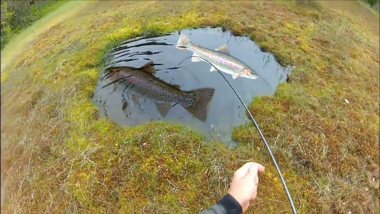 CRAZY MAN FIGHT BIG CATFISH IN A SWOLLEN RIVER UNDER THE STORM - HD by IT Channel