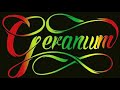 Dhevy Geranium - Kopi Dangdut (Skareggae Version) Live@Jember 2021