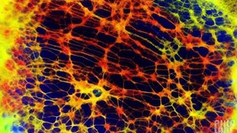 🌟 Quantum Physics Unveiled: Journey into the Subatomic Realm 🔬🌌