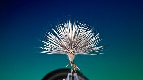 Fly Tying a Comparadun fly with Barry Ord Clarke