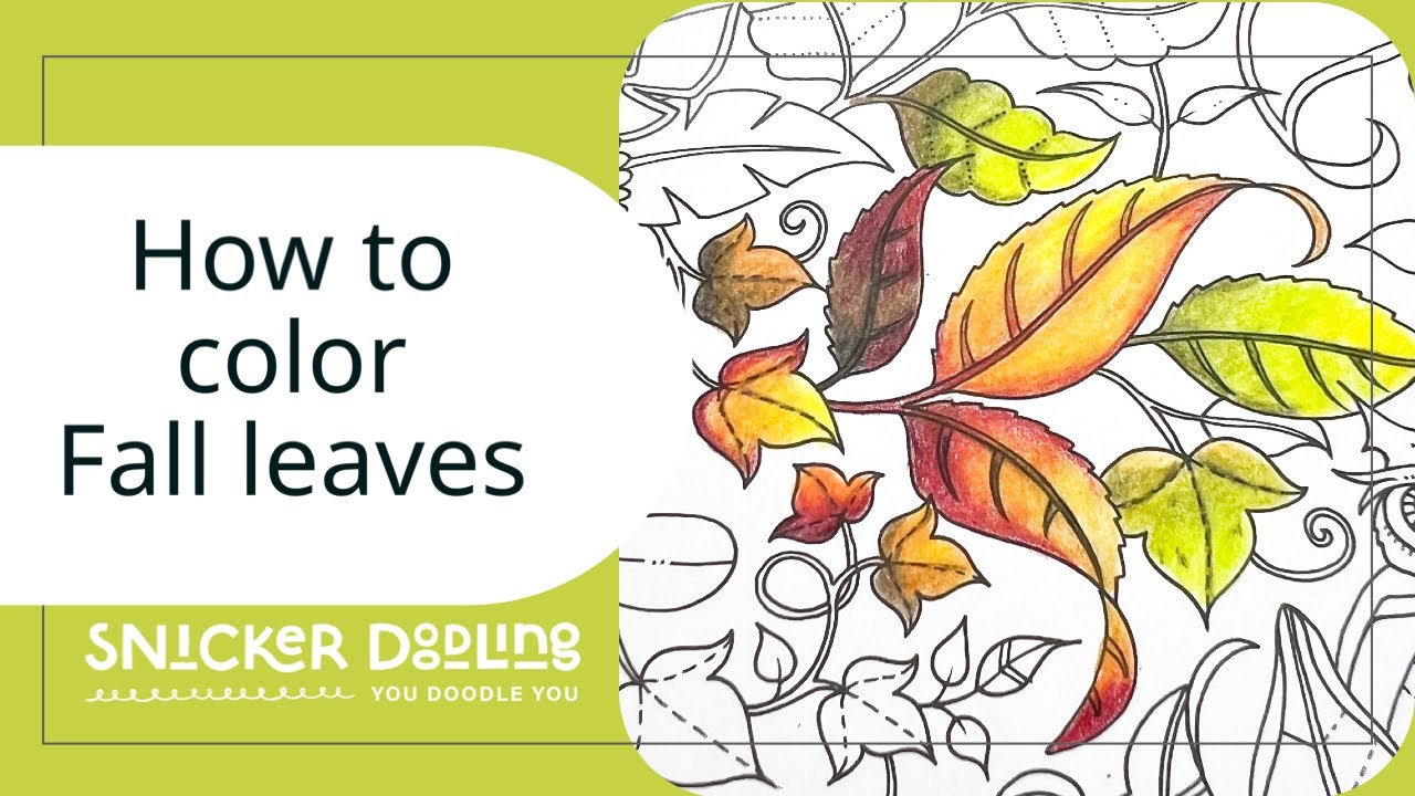 Captivate with Color Tips and Tricks for Coloring Autumn Leaves YouTube
