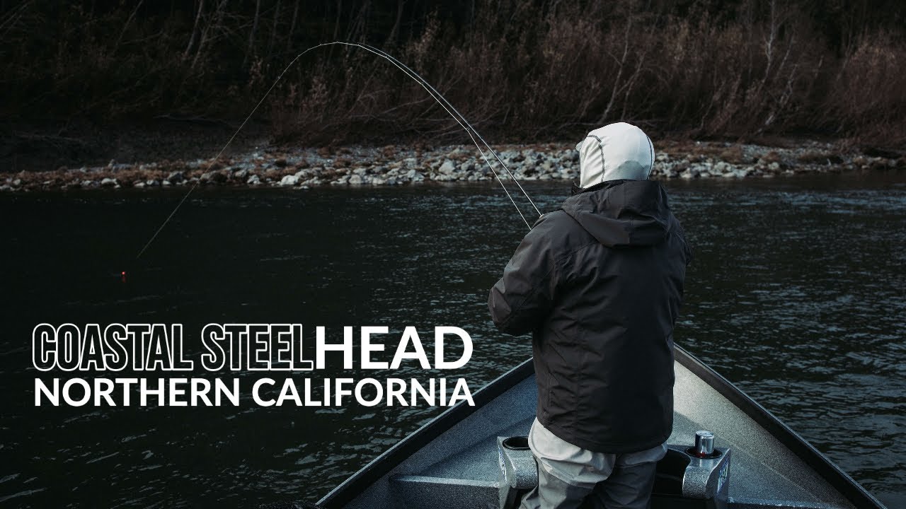 Northern California STEELHEAD Fly Fishing AC Fly Fishing YouTube