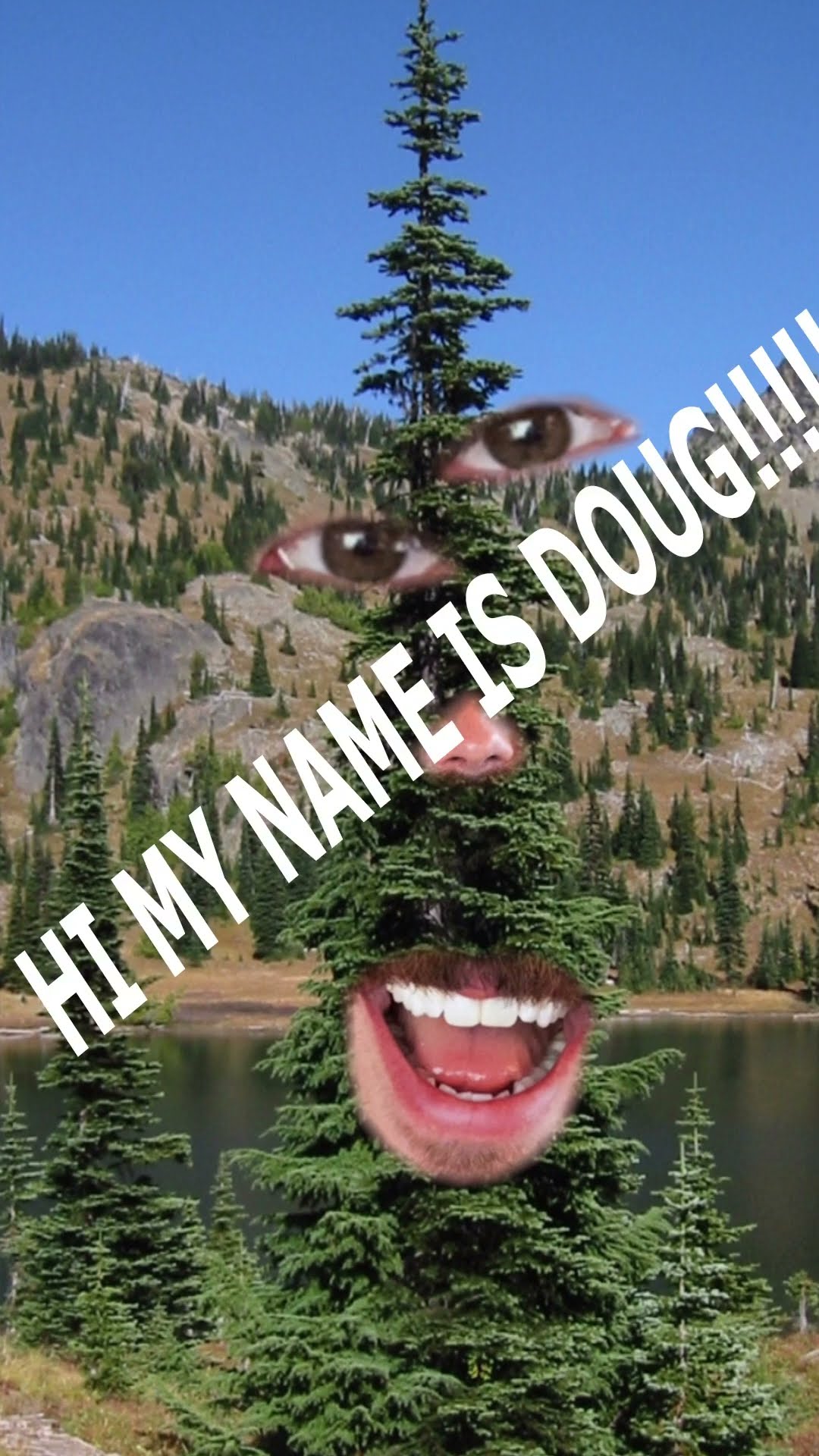 Making Oregon out of Douglas-Fir | Official State Tree Map #shorts #trees #wood