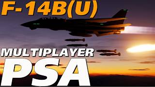 F-14B(U) Tomcat PSA: How To Make Your DTC Work in Multiplayer!
