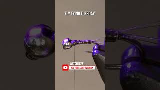 Silver Bullet Baetis | Fly Tying Shorts | #flytying #FlyFishing #FlyTyingTutorial