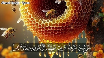 القارئ رعد الكردي - من سورة النحل - وأوحى ربك إلى النحل أن اتخذي من الجبال بيوتاً ومن الشجر