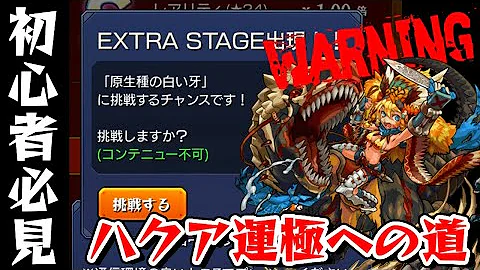 モンスト ハクア 適正