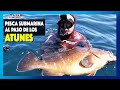 🔝TOP 10 Pesca Submarina en el ESTRECHO🔝Al Paso de los ATUNES