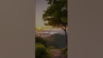 تلاوة خاشعة ومؤثرة ❤️#قرآن #اكسبلور #الرحمن #ياسر_الدوسري #لايك #المصحف #راحة_نفسية