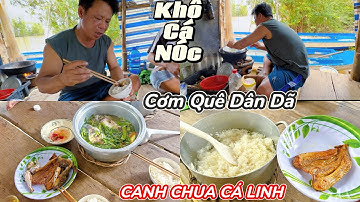 Cơm Quê Dân Dã Canh Chua Cá Linh Khô Cá Nóc No | Ẩm Thực Đồng Quê Mùa Nước Nổi 2025. 