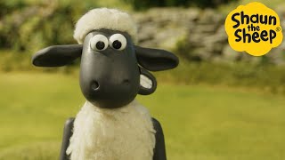 Shaun the Sheep  Happy Sheep  Cartoons for Kids  Full Episodes Compilation [1 hour]