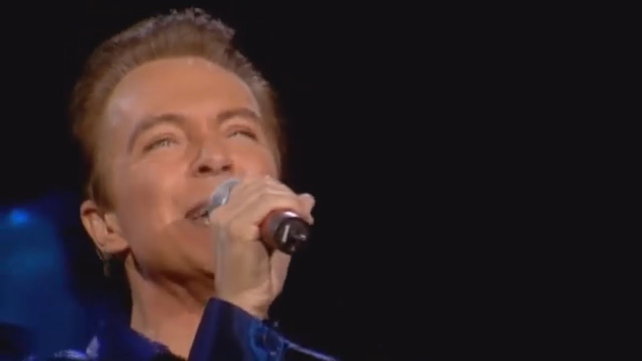 David Cassidy 