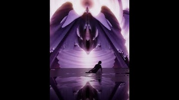 Immersive experience by artist Sebastien Labrunie