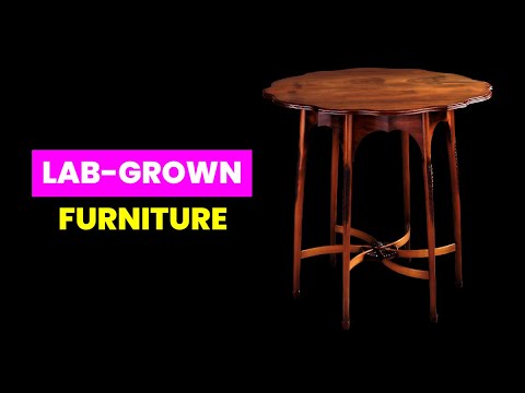 Cell-Cultured Trees and Lab-Grown Furniture | Future Technology & Science News 144