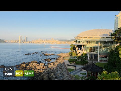 Haeundae Morning Walk｜Dongbaek Island 산책 海雲台 朝の散歩 自然音 Nature Sounds
