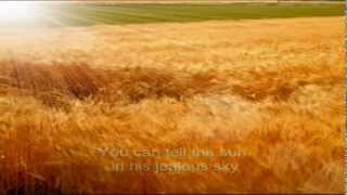 Miniatura del video "Eva Cassidy - Fields of Gold  lyrics"
