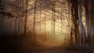 Jean Baptiste Lully's BOIS EPAIS (Sombre Woods) - instrumental cover