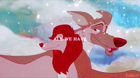 Full Animash MEP | Everyday