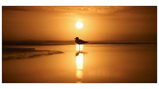 Patterns of Solitude, A Lion Studios Exhibition of Photographer Greg West