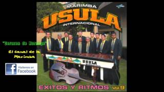 Video thumbnail of "JUGO DE PIÑA.   MARIMBA USULA INTERNACIONAL"