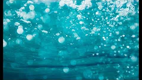 The question answer of the topic magician and the duck